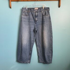 Everlane Women's High Rise Barrel Jeans